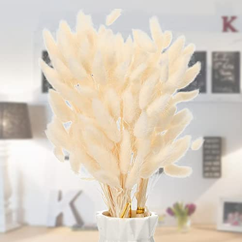 Snowtain 50 Pcs Boho Deko Trockenblumen Blumenstrauß Deko Hasenschwanz Gras Getrocknete Pampasgras Stäbchen Pampasgras Trockenblumen Trockenblumen Deko Pampas Deko Trockenblumen (40cm Weiß)