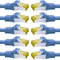 BIGtec LAN Kabel 10 Stück 0,5m Netzwerkkabel CAT7 Ethernet Internet Patchkabel CAT.7 blau Gigabit doppelt geschirmt Netzwerke Router Switch 2 x Stecker RJ45 kompatibel zu CAT.5 CAT.6 CAT.6a CAT.8