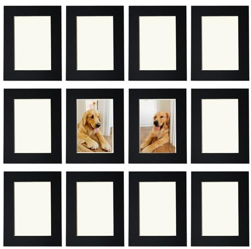 Cornice 10 x 15 cm,Set di 12 Cornici Foto da Parete,Corni di Cartone con Pellicola Plastica Antipolvere ad Alta Trasparenza,Nero