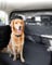 VEVOR Hunde Autobarriere 1167 mm breite Trennwand Hundegitter Autoschutzgitter Haustierbarriere mit Netzgewebe, universell passende Hunde-Autobarriere für SUVs Lkws Fahrzeuge, schwarz