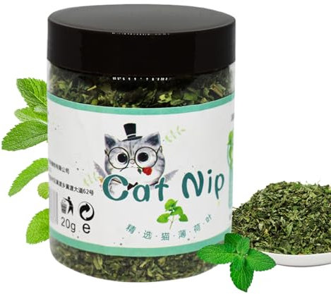 Nip orgánico para gato, planta de hierba gatera, hierba felina gatito, fresca y natural, calmante e interactiva, 2.56 x 3.35 pulgadas, perfecta para jugar en interiores