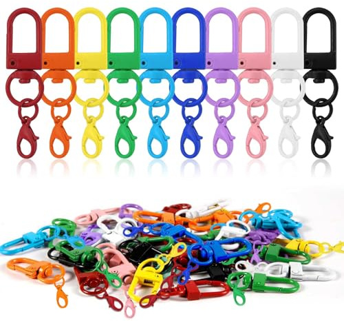 100 Stück Mini karabiner Schlüsselanhänger,Schlüsselringe,Schlüsselanhänger Basteln,Karabinerhaken Schlüsselanhänger für Schlüssel,DIY Zubehör