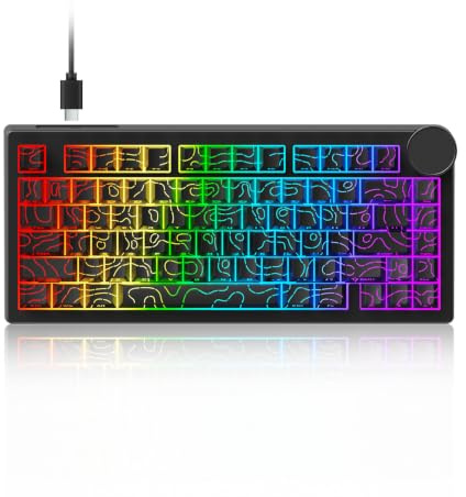 AK820 V2 8KHz Magnetische mechanische Tastatur Bingyu Hall-Effekt Rapid | 0,01 mm verstellbare Betätigung, Dichtungshalterung, RGB-Metallknopf, USB-C verdrahtet, 75 % 81 Tasten, Hot-Swappable