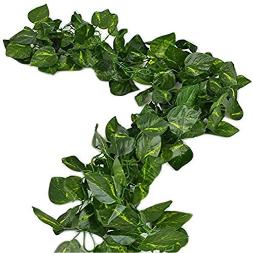 Charismau 168Ft Artificial Ivy Garland 24 Packs Fake Ivy Vines Fake Plants Hanging Vines for Indoor Outdoors Wedding Party Garden Decoration, Landscaping Fence Greenery (Scindapsus Leaves)
