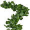Charismau 168Ft Artificial Ivy Garland 24 Packs Fake Ivy Vines Fake Plants Hanging Vines for Indoor Outdoors Wedding Party Garden Decoration, Landscaping Fence Greenery (Scindapsus Leaves)