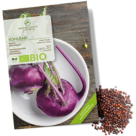 BIO Lila Kohlrabi Samen (Milan Purple, 300 Korn) - Kohlrabi Saatgut aus biologischem Anbau ideal für die Anzucht im Garten, Balkon oder Terrasse