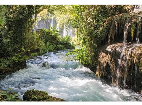 Baocicco 7x5ft Vinyl Green Forest Backdrops for Photography Background Mountain and Water Landscape Beautiful Waterfall and River Ancient Tree Outdoor Explore Holiday Backdrop Photo Studio