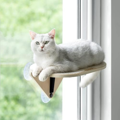 MEWOOFUN Perchoir de fenêtre avec marches d'escalade et griffoir – Lit pour chat en bois pour chats d'intérieur (1 perchoir)