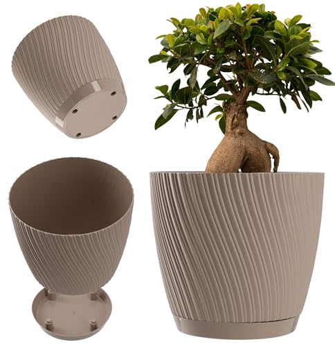 KADAX Maceta con plato, maceta de plástico con forma de onda tridimensional, maceta decorativa para flores, cactus y hierbas (17 cm, marrón)