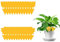 AMZFUK Atrapa Moscas 24 Piezas,Trampa para Moscas,Trampas Adhesivas para Moscas Amarillas Atrapa Mosquitos para Plantas de Interior y Exterior Control de Plagas