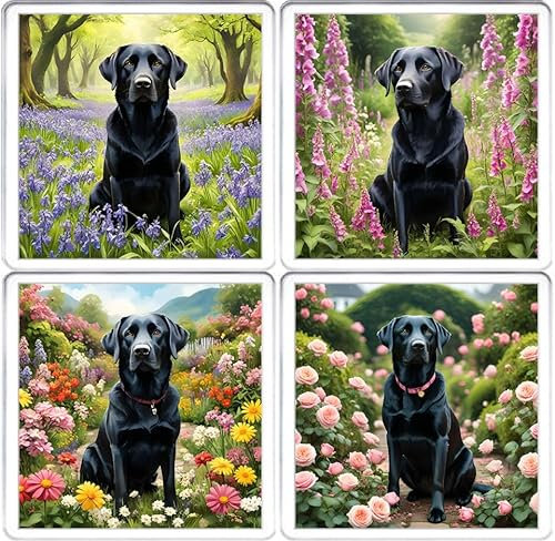 Black Labrador Coaster Set. 4 different images of Black Labrador Dogs on 10cm x 10cm acrylic coaster mug mats. Boxed for gifting