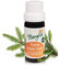 Bergila Ätherisches Öl Fichte (picea abies) Bio, 10 ml - aus 100% natürlichen, biologischen Rohstoffen - kontrollierte und zertifizierte Qualität aus Südtirol