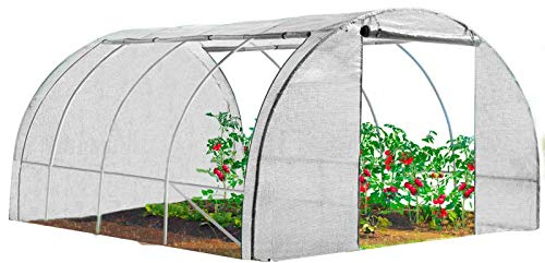 IDMarket Serra a tunnel da giardino 4 stagioni, 12 m², colore bianco, gamma di ortaggi Zebra 4 x 3 m