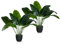 PASCH® 2 x Bananenbaum Kunstpflanze groß (90 cm) - Langlebig & Naturgetreu | Kunstpflanzen groß | Künstliche Pflanzen groß | Palme künstlich | Künstliche Palme | Kunstbaum für natürliches Ambiente