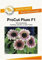 ProCut Plum F1 Sonnenblumensamen von Bobby-Seeds Portion