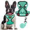 FAYOGOO Hundegeschirr, Kein Choke Front Clip Hund Reflektierendes Geschirr, No-Pull Verstellbare Weiche Gepolsterte Haustier Weste Set für kleine Mittlere Große Hunde Gehen (Grün, XL)