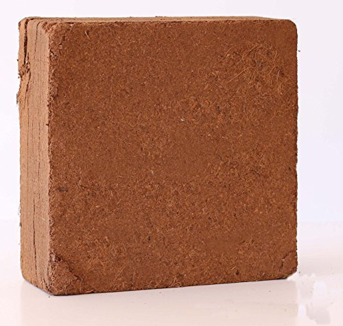 Pokugiardini, Substrato in fibra di cocco, blocco 5 kg= 70 litri espanso, miglior prezzo