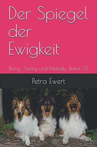 Der Spiegel der Ewigkeit (Band, Band 33)