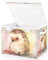 Mnsruu Storage Boxes with Lids, Rainbow Hedgehog Large Storage Basket Organizer Shelves Cube Bin Toy Clothes Underbed