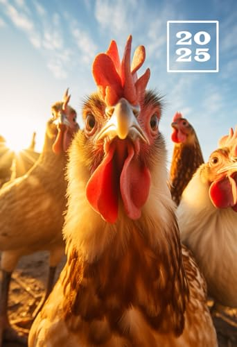 2025: A6 Wochentaschenkalender | 1 Woche auf 2 Seiten Terminplaner | Buchkalender im Mini Format | Lustige Hühner Kalender | Jahresplaner Kalenderbuch ... | Agenda Planer Klein & Kompakt