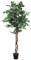 EUROPALMS Silberficus-Benjamini, Kunstpflanze, 180cm