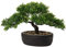 U/S Künstliche Bonsai-Baum-Pflanzen für Bauernhaus, Zuhause, Küche, Badezimmer, Büro, Dekoration, kleine künstliche Grünpflanzen, für Haus-Dekorationen, Topfpflanzen (Bonsai-Baum #04)