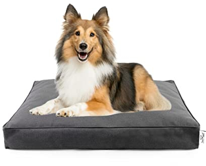 DAILY PET Hundebett Mittelgroße Hunde – Waschbar – Flauschig Hundekorb – Kratzfest – Wasserdicht – Robust Hundesofa – Hundekissen S 65 x 50 x 6 cm – Graphit