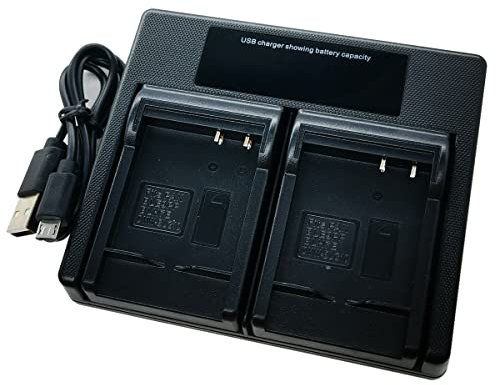Chargeur de batterie USB double pour appareil photo Panasonic DMW-BLH7E DMW-BLE9 DMW-BLE9E DMW-BLG10E Lumix DC-TZ100 DC-TZ95 DC-TZ90 DMC-GF3 DMC-GF5 DMC-GF6 DMC-GX7 DMC-GX85 DMC-LX100