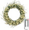 ZELUXDOT Plug in Firecracker Lights 33FT 300 LED Green Wire Copper String Lights Indoor Fairy Lights with Remote for Bedroom,Wedding,Birthday,Party,Christmas Tree,Garden,Patio