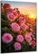 DARO Design - Wand-Bild auf 6mm HDF 70x50 cm rosa Rosen - Wand-Deko Bilder Geschenk