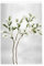 Yqxwjl Bianco Naturale Verde Ramo Stampa Bandiera Giardino 2x3 Foot Flag Double Sided Holiday Flag Decorazione Banner Party Forniture Outdoor