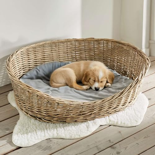 Dekoleidenschaft Hundekorb Koboo Grey aus Weide, Gr. XL 90x70 cm, Hundebett für mittelgroße Hunde, Tierbett mit Kissen, Weidenkorb