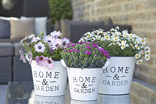 Wunderschönes Zink Pflanzgefäß/Pflanztopf - Home & Garden - Indoor & Outdoor - Frostfest - Weißer Zinktopf/Zinkgefäß/Blumentopf/Tischdeko (Alle Größen im Sparset)