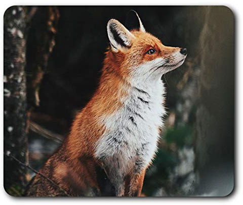 RM2829 Mauspad, bequem, Motiv Crafty Ginger Fox im Wald, 23,5 x 19,6 cm, für Computer und Laptop, Büro, Geschenk, rutschfeste Unterseite