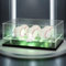 Naconmlet Baseball Acryl Vitrine mit led, UV-Schutz, vitrine schaukasten mit Ständer, transparente Display Box für signierten Fußball Sammlerstücke,Sport-Erinnerungsstücke-34x25x14cm