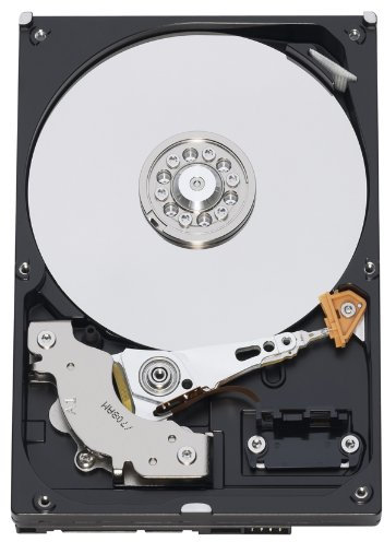 Western Digital wd5000avjb AV 500 GB Hard Disk (8,9 cm (3,5 Pollici), 7200 RPM, 8 MB Cache, ATA)