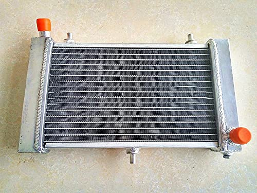 FSMOTO Radiatore Alluminio per Aprilia RS125 RS 125 Tuono 1995-2010 2 tempi RS-125