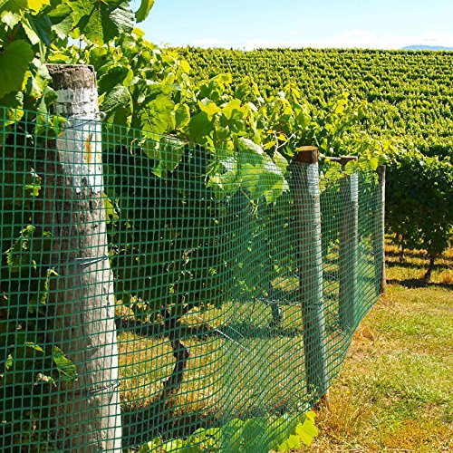Floordirekt Volierendraht | mit grüner PVC Ummantelung | Drahtgitter | Drahtzaun | 4-Eck-Geflecht | Verschiedene Größen (50 cm x 5 m, 2,8 kg) (50 cm x 10 m)
