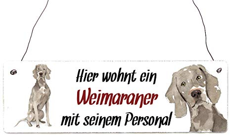 Interluxe Holzschild - Hier wohnt EIN Weimaraner - Türschild, Dekoschild, Schild als Geschenk für Menschen mit Hund