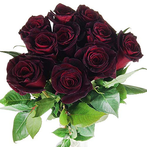 10 schwarze Rosen - Inklusive Grußkarte # Frisch # Langstielig # Vasenfertig