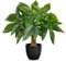 Briful 15 Artificial Plants Indoor Pachira Aquatica Like Real Fake Plants Lucky Chestnut Bonsai Faux Plants in Pot, Artificial Money Tree Decorative Plant for Office, Living Room Decoration