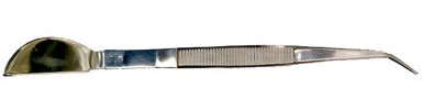Stainless Steel Spatula and Tweezers Bonsai Tool.