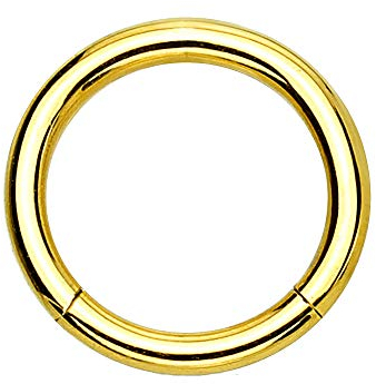 eeddoo Piercing-Ring Segment-Clicker Segment-Ring Gold Edelstahl 1,2 mm x 6 mm