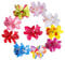 Blumen Haarspangen Multicolor Hawaiian Flowers Hochzeit Braut Blume Stoff Dendrobium Orchidee Haarclip Hochzeit Party Strand für Kinder Frau Mädchen 10 Stück