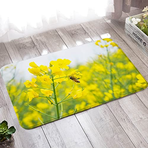 Fußmatte Aussen, Bunter Teppich 50X80cm Gelbgrün Rapsblüten und Biene für Badezimmer Küche