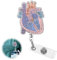 Oykrueats Silbrig Ausweishalter Krankenschwester, Ausziehbar Heart Schlüsselanhänger Krankenschwester, Menschliche Organform Nurse Gadgets Zubehör Gift für Arzt Student Lehrer Büro Klinik