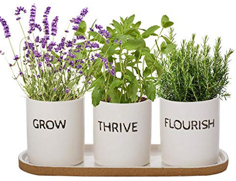 Dibor Indoor Herb Garden Window Box Cocktail Herb Planter Set Wedding Anniversary Christmas Gardening Gift