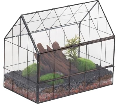 NCYP Terrario geométrico de Vidrio con Puerta de Apertura Frontal, Forma de casa Cerrada, macetero de micropaisaje para suculentas pequeñas (Solo terrario, sin Plantas)