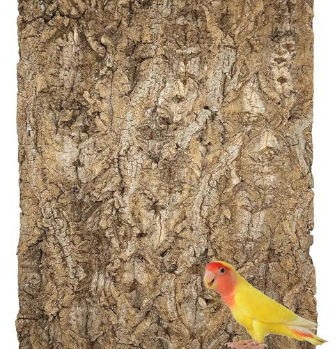 Allazone Sughero Terrario Sfondo, Decorazione di Corteccia di Rettile, Fondo Corteccia di Sughero per Terrario Decorazione per Tartaruga Lucertola (1PCS, 30 x 40 cm)