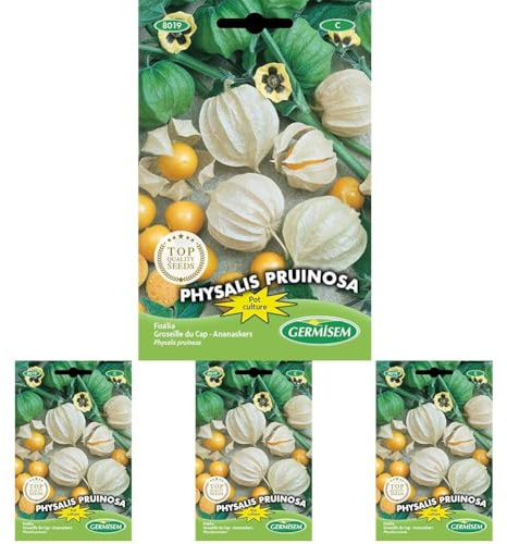 Germisem Physalis Pruinosa Semillas de Edulis 0.4 g, EC8019 (Paquete de 4)